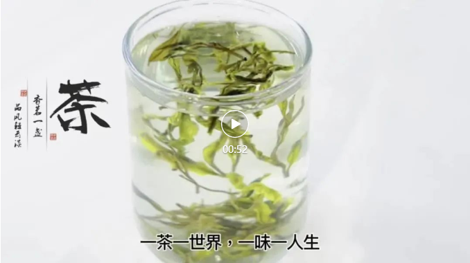 四食豐語|萬八千的春茶，自己在家就能做
