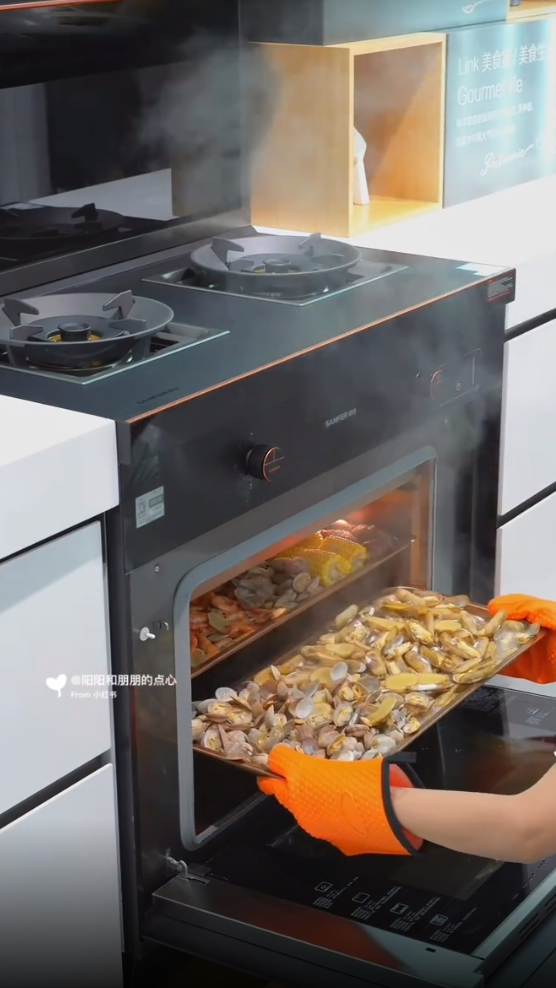 帥豐X6集成灶爆火出圈！抖音、小紅書達人合力推薦！