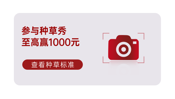 集成灶十大品牌帥豐電器雙11即刻出發(fā)，狂歡先人一步??！