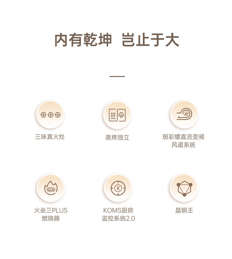 帥豐S69蒸烤獨(dú)立集成灶