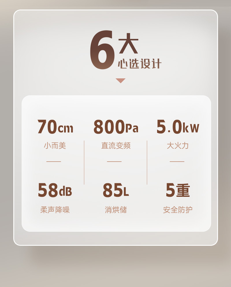 帥豐D8消毒柜款集成灶