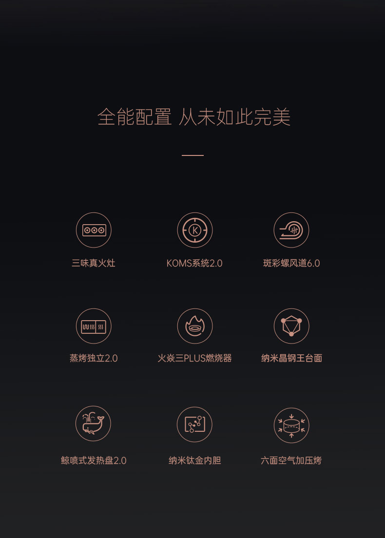 帥豐星辰X1雙子星蒸烤獨立(100Pro)集成灶