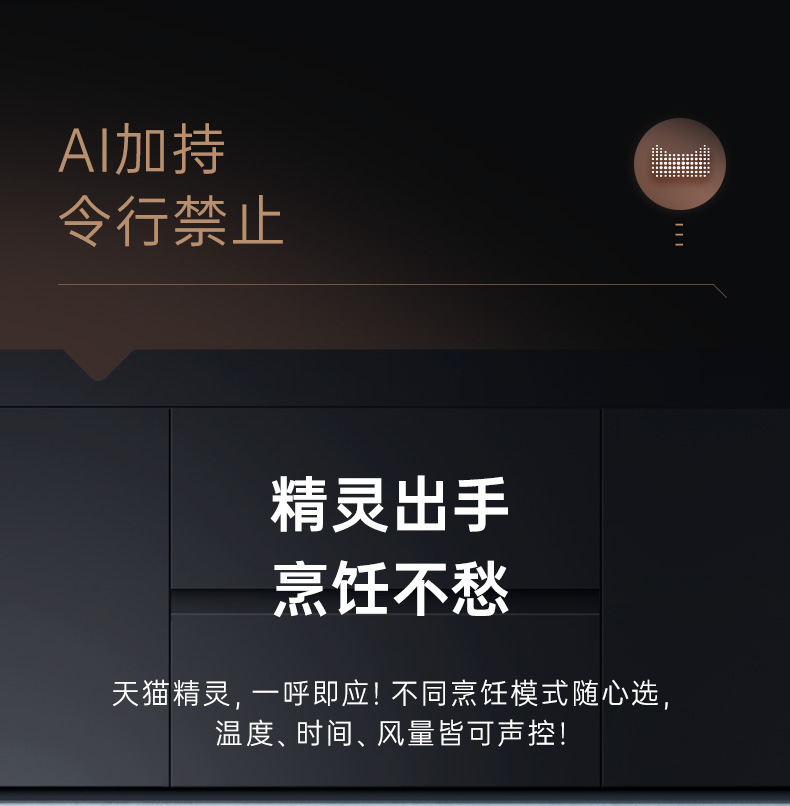 帥豐T1蒸烤一體集成灶