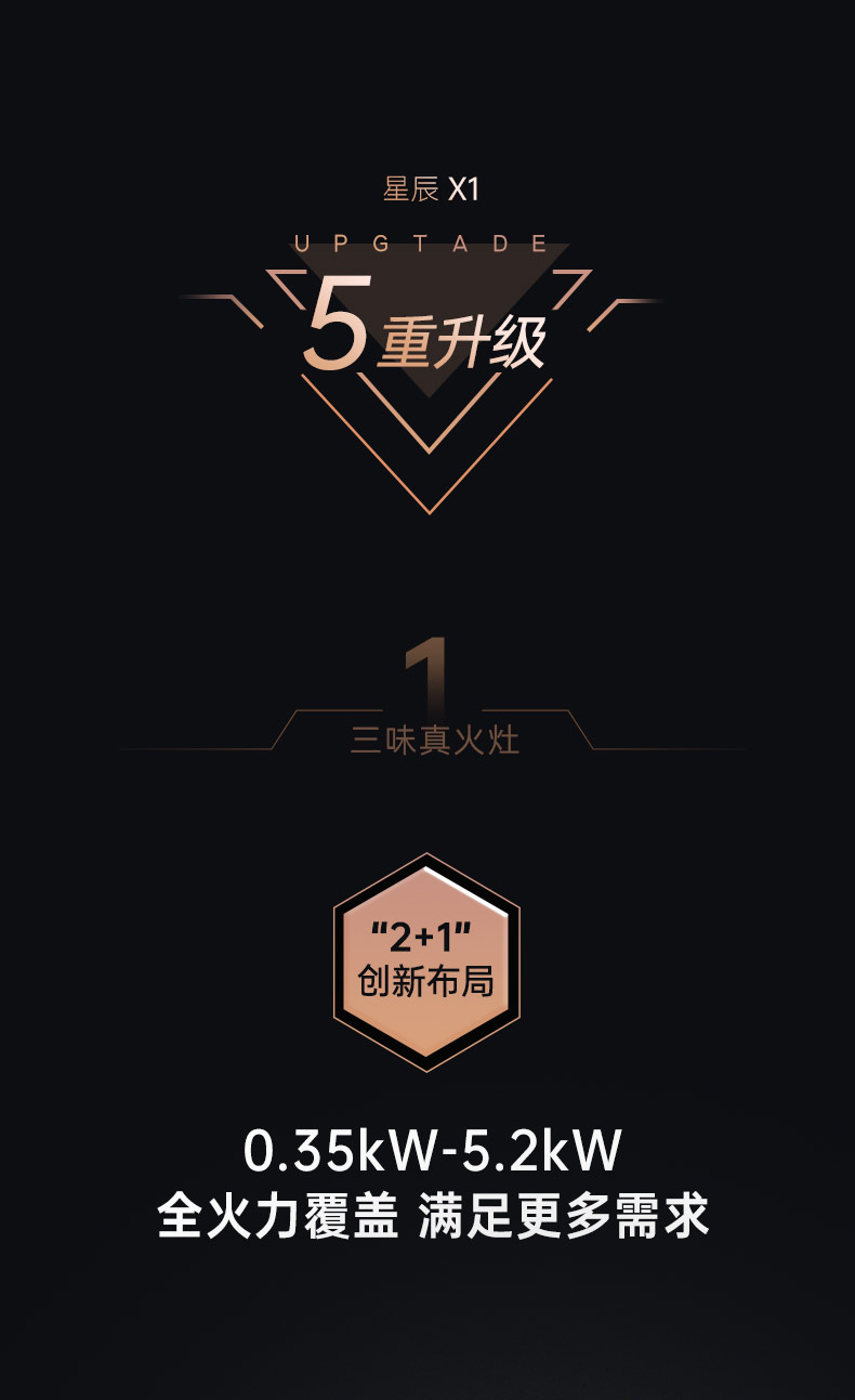 帥豐星辰X1雙子星蒸烤獨立(100Pro)集成灶