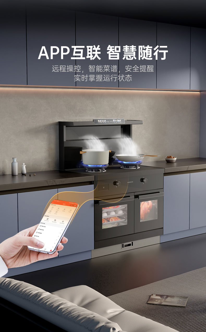 帥豐天機(jī)3蒸烤獨(dú)立（黑）集成灶