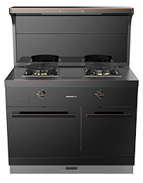 星辰X1雙子星蒸烤獨(dú)立(100)