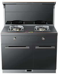 星辰X1雙子星蒸烤獨(dú)立(100S)