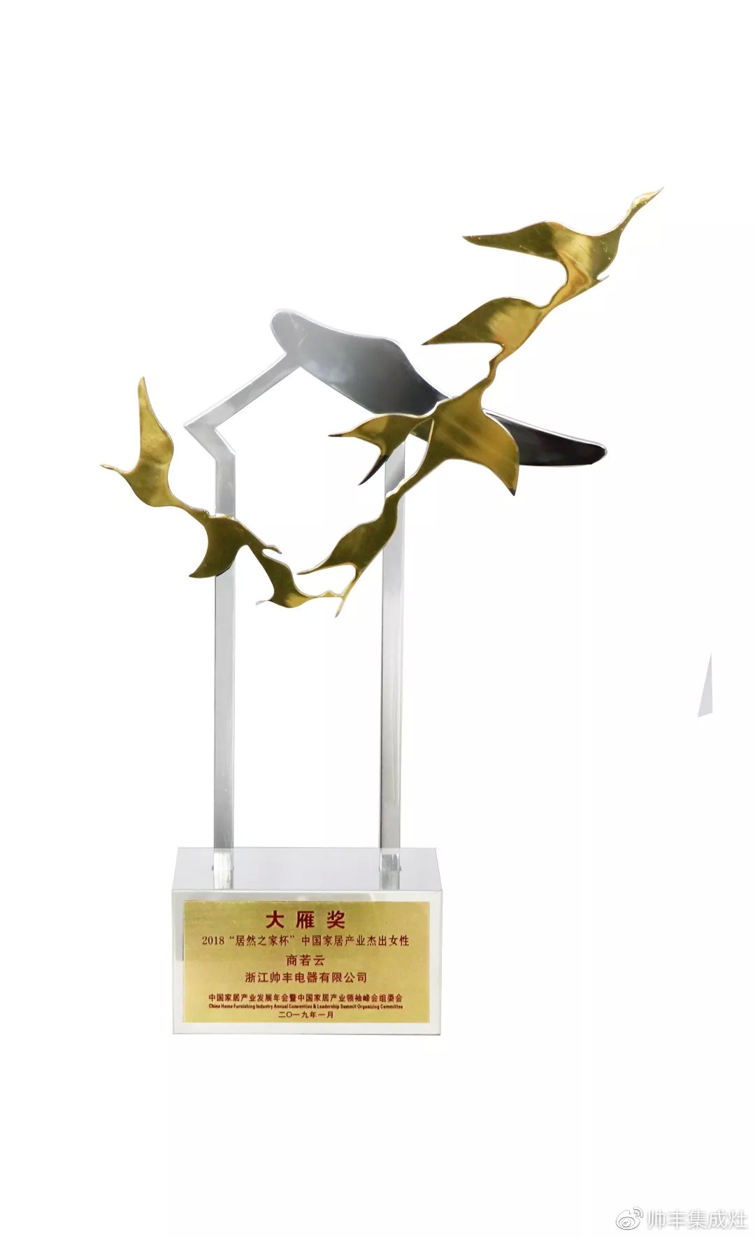 2019斬獲多項個人大獎，帥豐以董事長商若云為傲