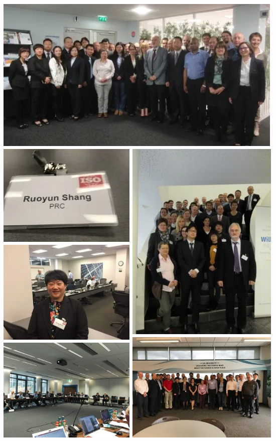 集成灶領(lǐng)軍品牌帥豐成首批省級標(biāo)準(zhǔn)國際化試點基地，加入產(chǎn)業(yè)國際化步伐