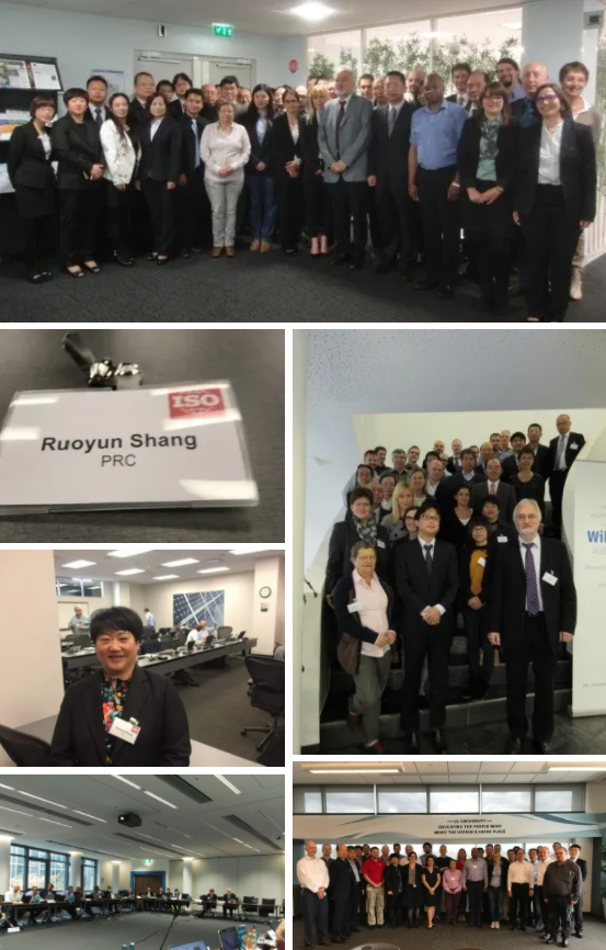 科技創(chuàng)新、標(biāo)準(zhǔn)引領(lǐng)、服務(wù)賦能，帥豐集成灶“奪冠”2021新增市場